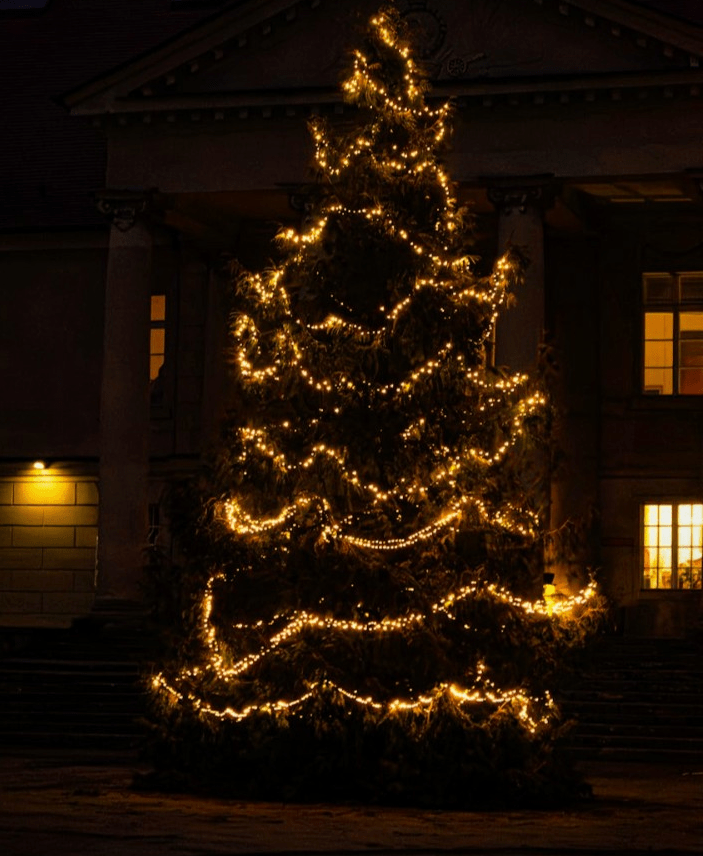 What Has the Year brought You? Has The Cost Been Worth The&nbsp;Price?